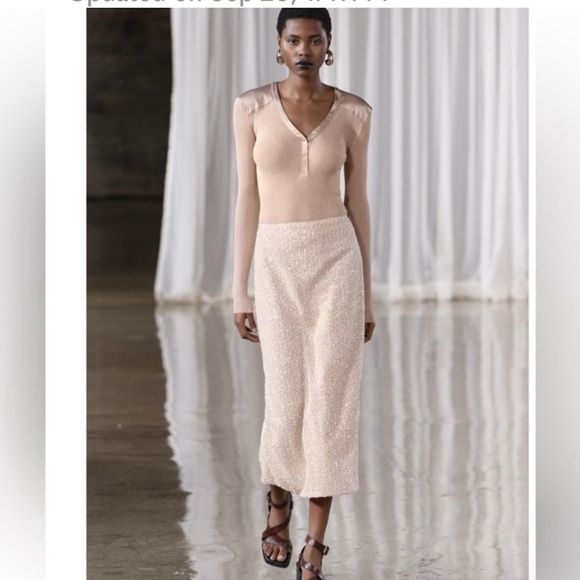 ZARA NWT SEQUIN SKIRT
SIZE S & M
🚨PRICE FIRM NO OFFER - Picture 1 of 16